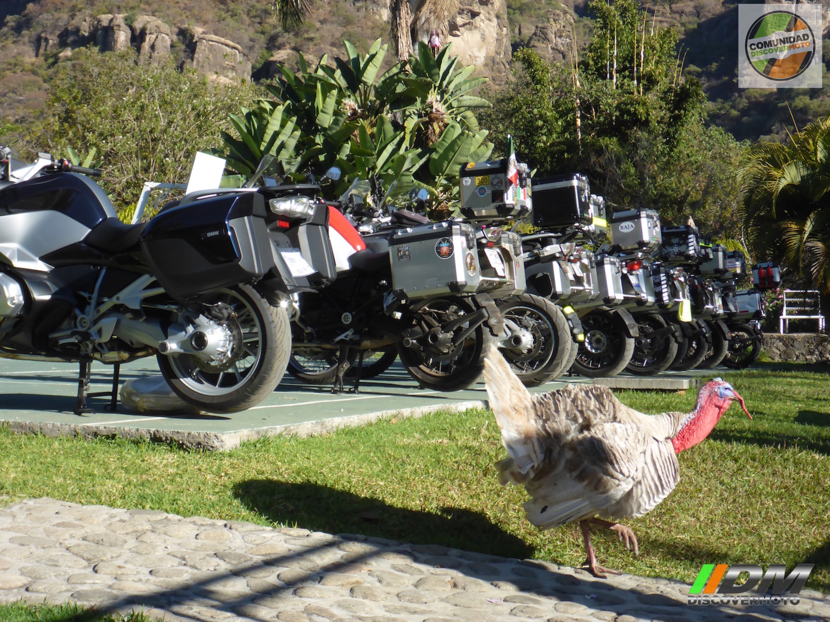 Convivencia Anual Discovermoto 2017