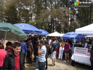 Salida 345 Val´quirico