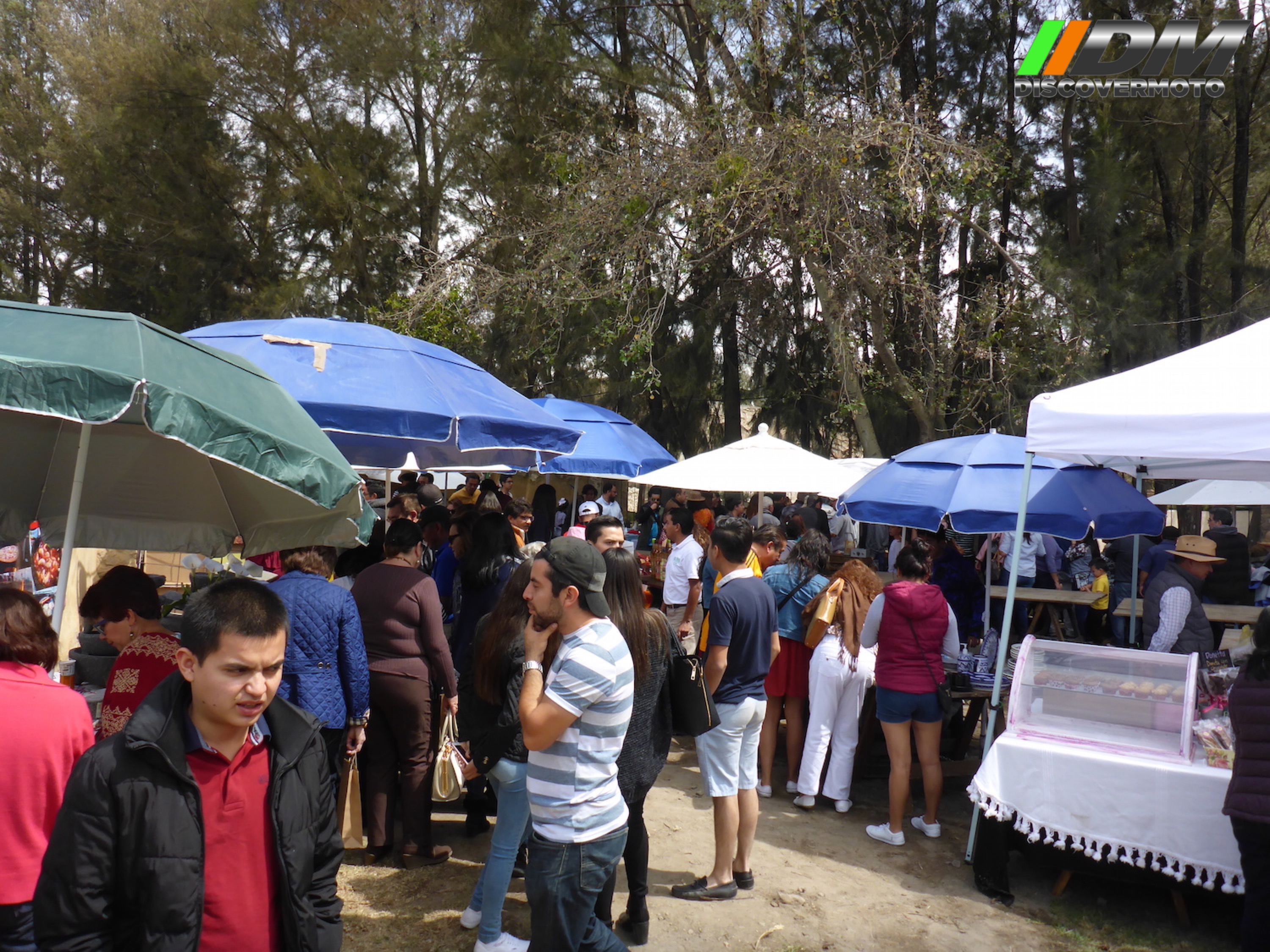 Salida 345 Val´quirico