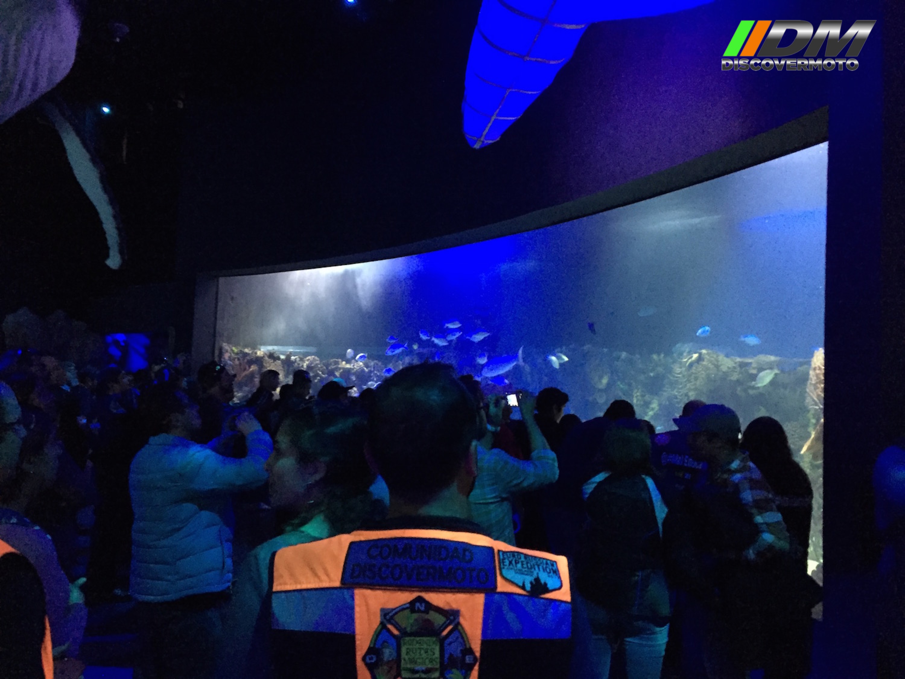 Salida 373 Acuario Simm Discovermoto