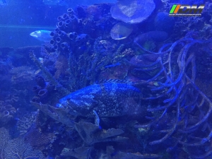 Salida 373 Acuario Simm Discovermoto