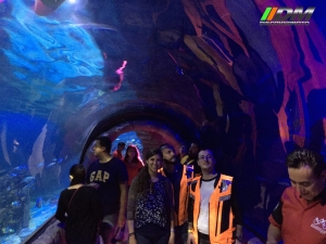 Salida 373 Acuario Simm Discovermoto