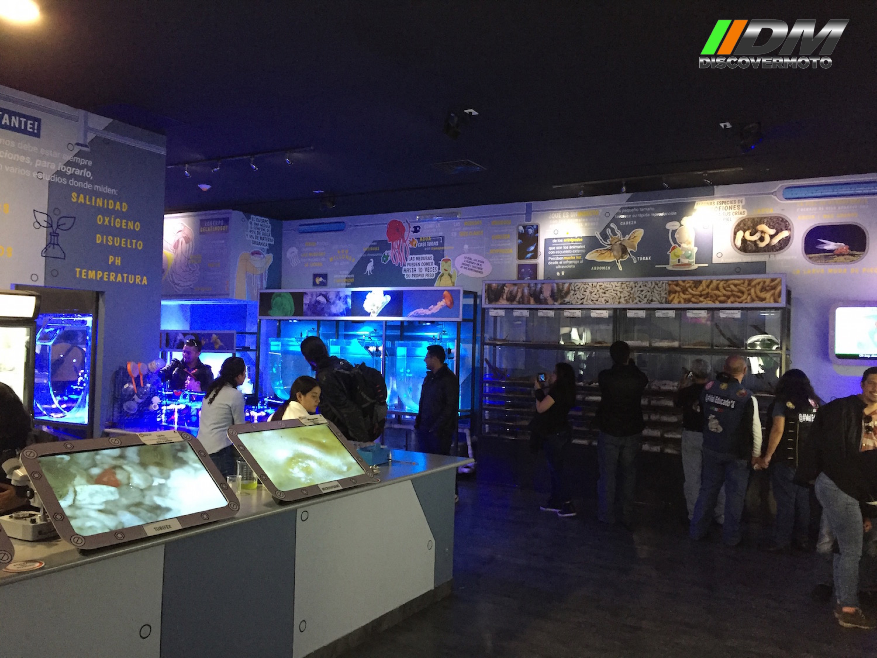 Salida 373 Acuario Simm Discovermoto