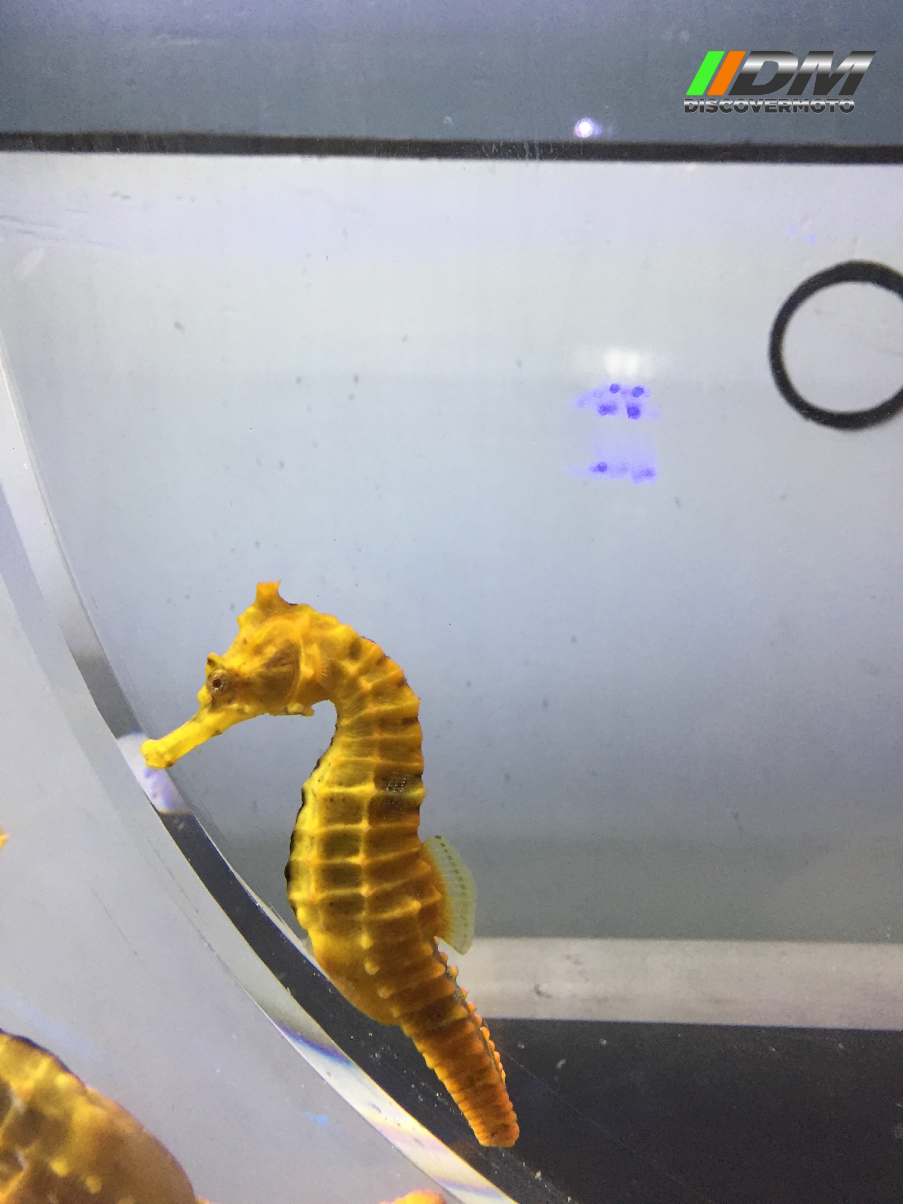 Salida 373 Acuario Simm Discovermoto