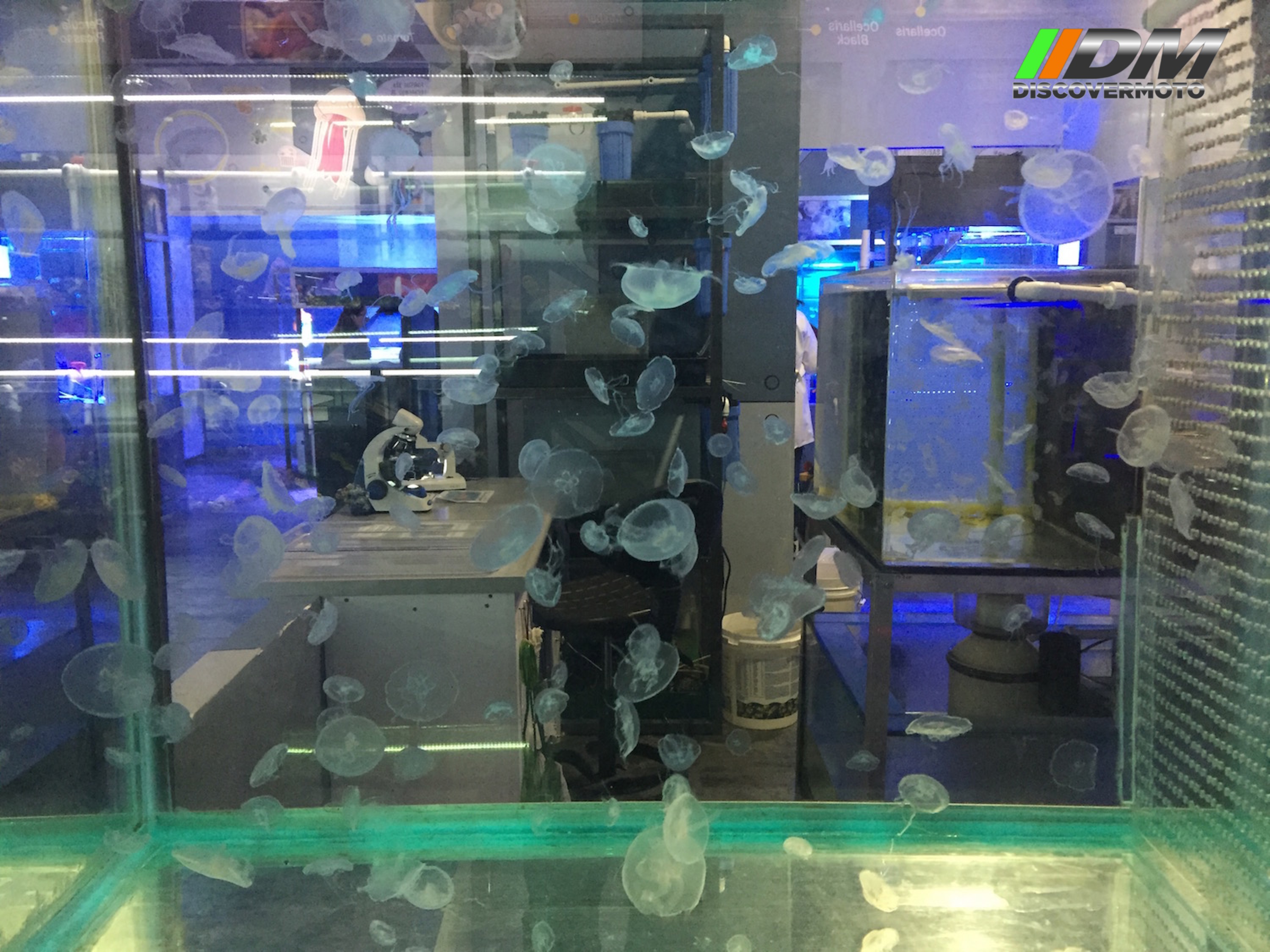 Salida 373 Acuario Simm Discovermoto