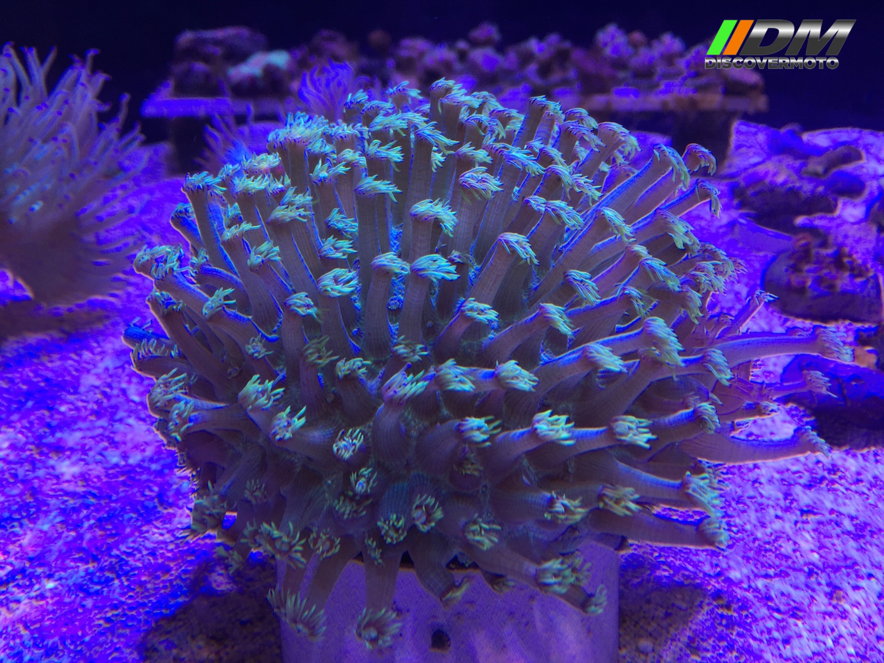 Salida 373 Acuario Simm Discovermoto