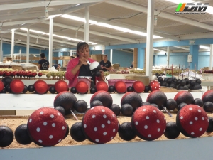 Salida 389 Chignahuapan