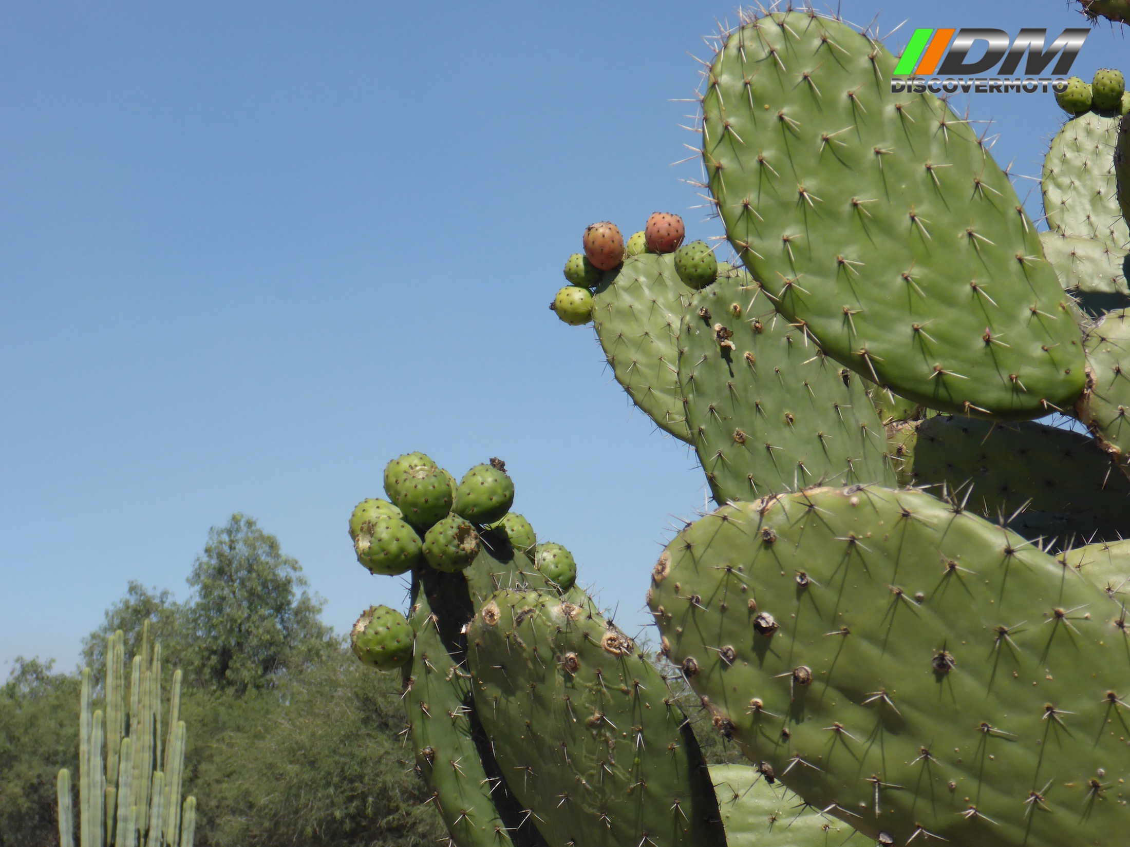 Salida 388 Atlantes de Tula