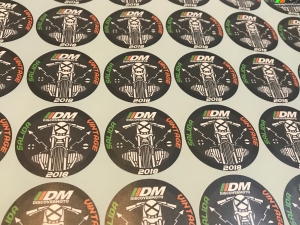 Salida 394 Vintage 2018