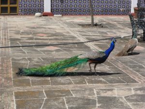 Salida 403 La Purísima