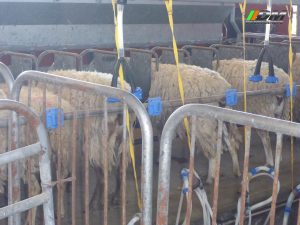 Salida 405 Rancho Santa María