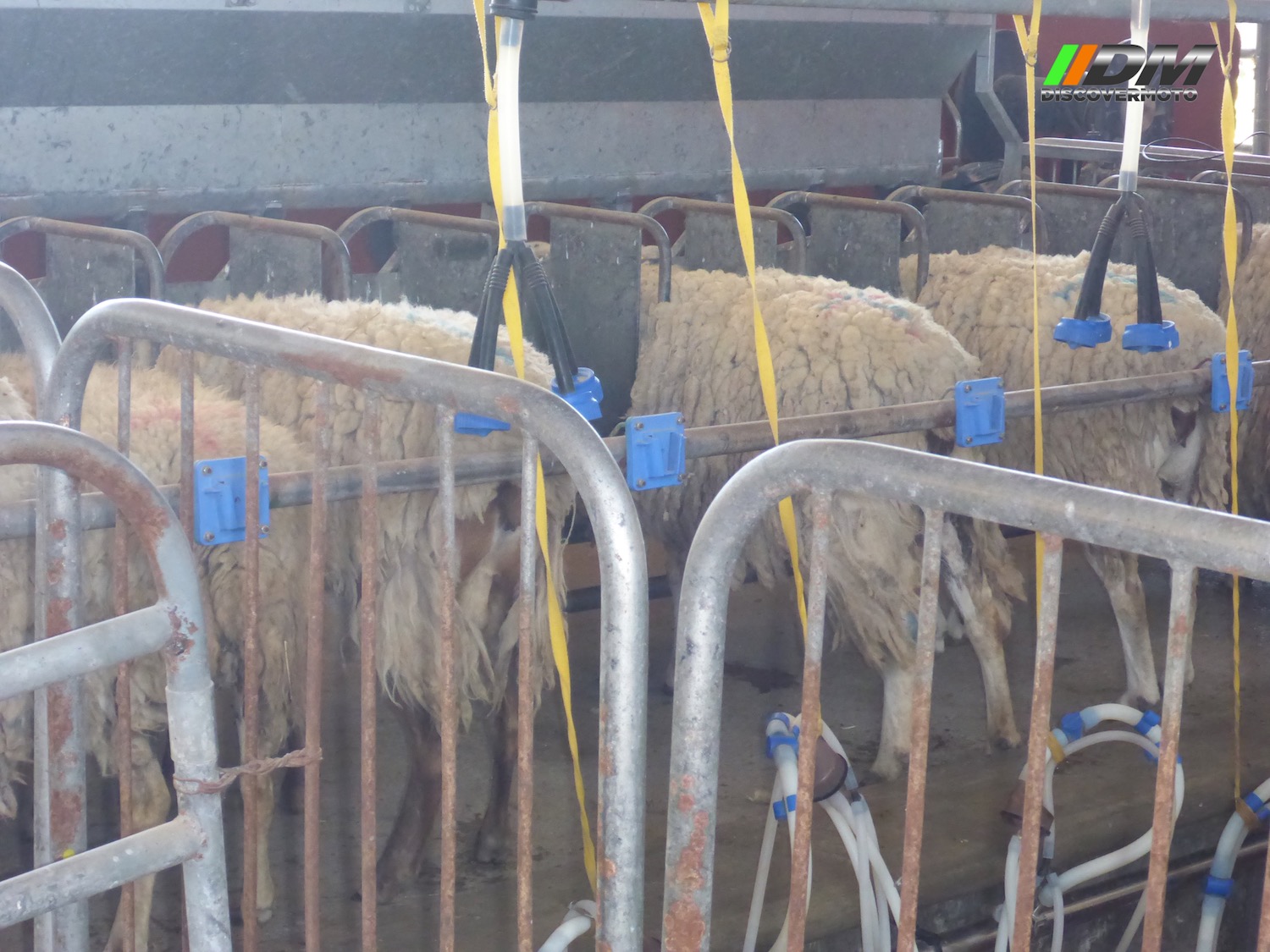 Salida 405 Rancho Santa María