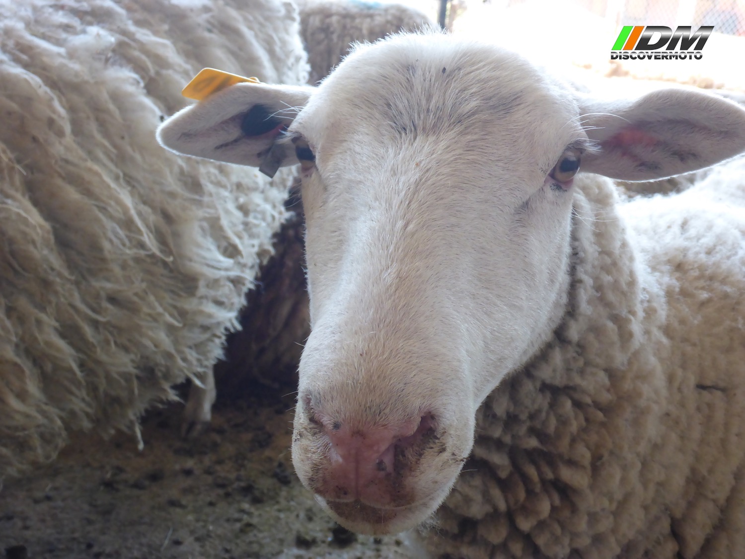 Salida 405 Rancho Santa María