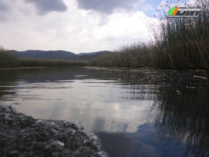 Salida 415 Tecocomulco