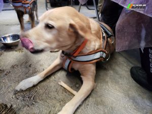 Salida 416 Tezontepec