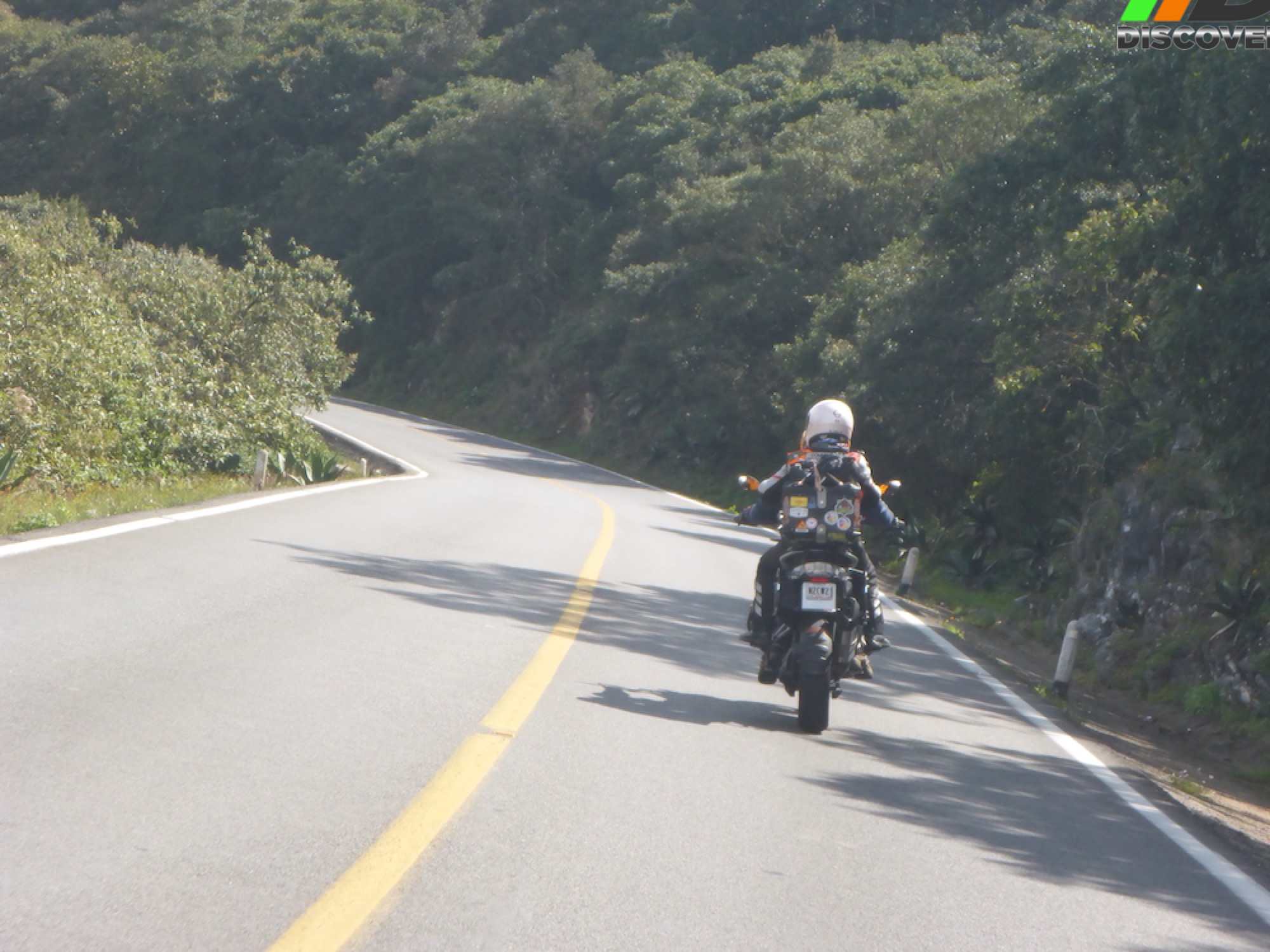 445 Huasteca Potosina