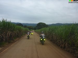 445 Huasteca Potosina