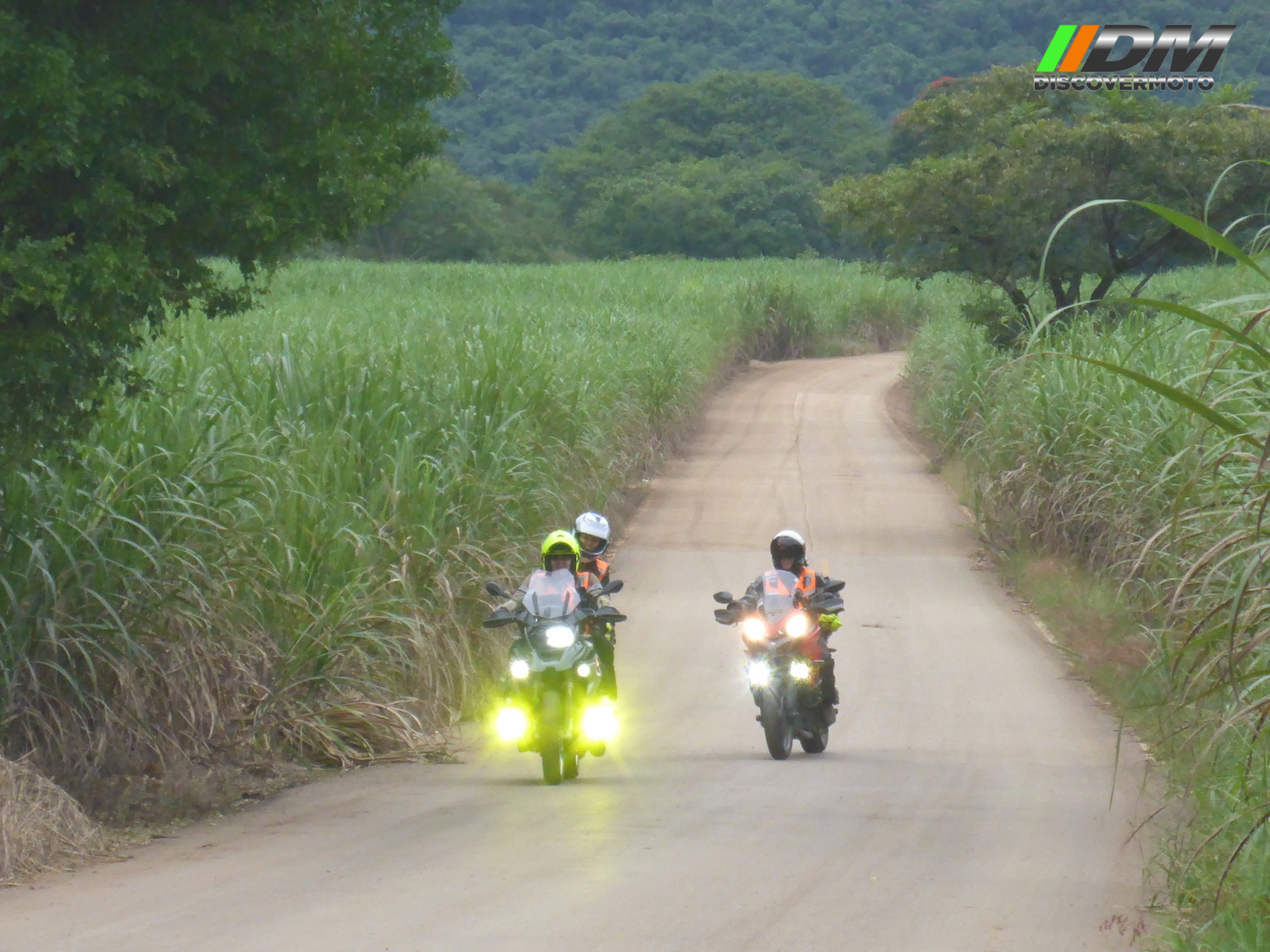 445 Huasteca Potosina