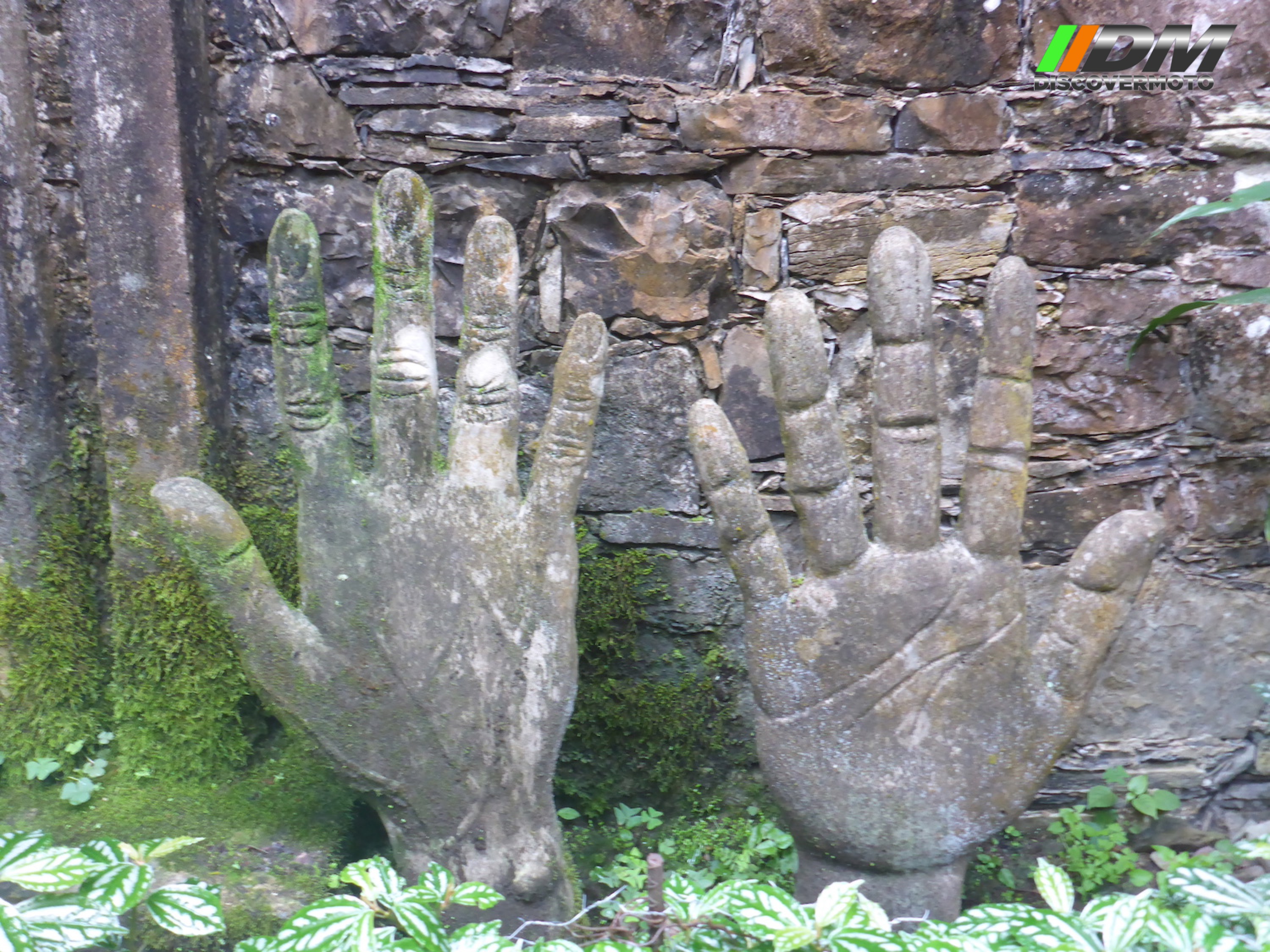 445 Huasteca Potosina