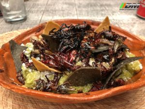 471 Metepec