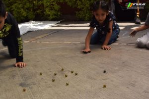 Salida 473 Canicaton