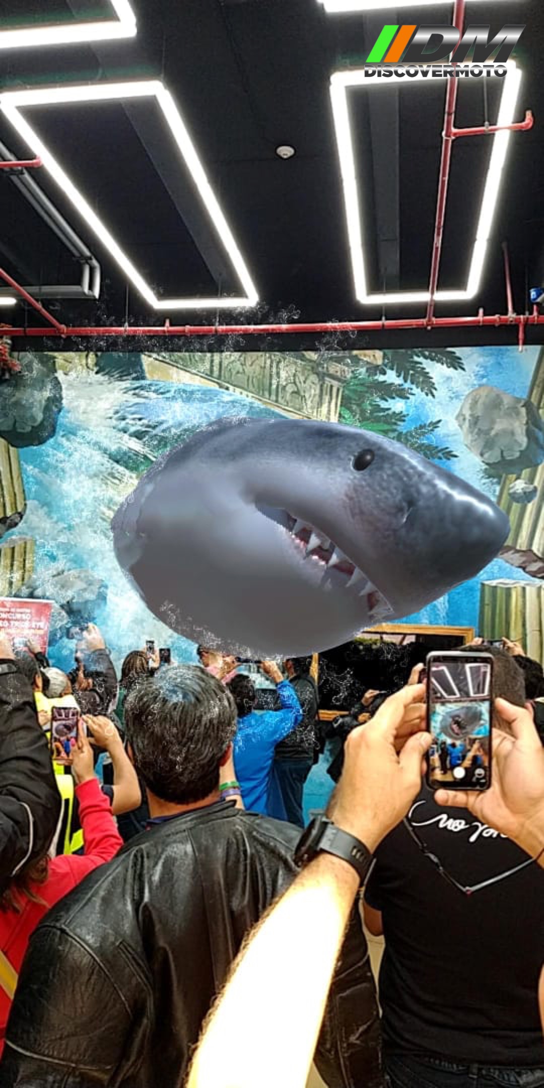 Salida 480 Trick Eye