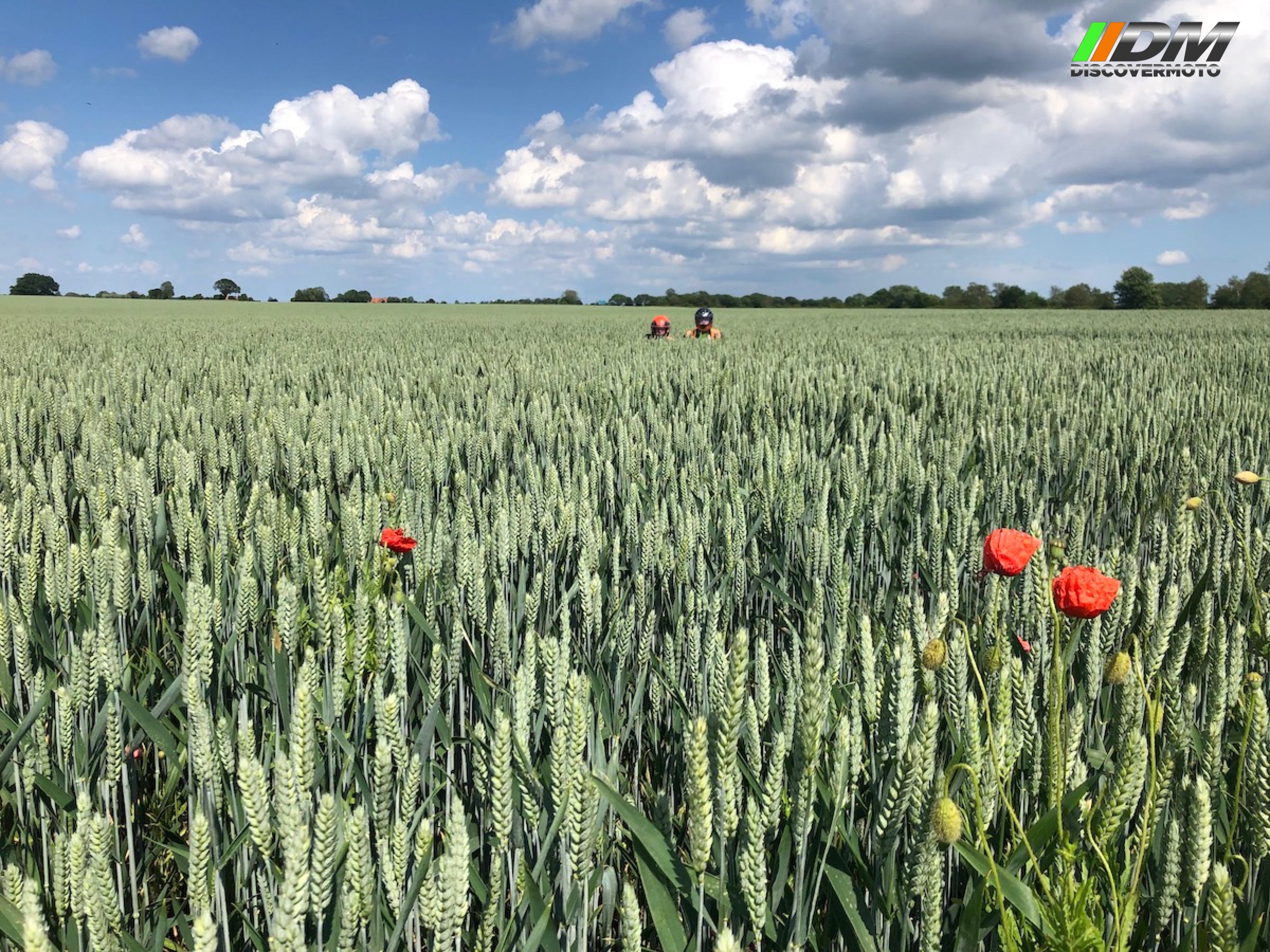 Nórdicos y Bálticos