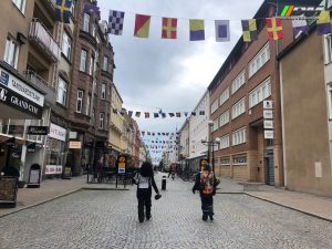 Nórdicos y Bálticos