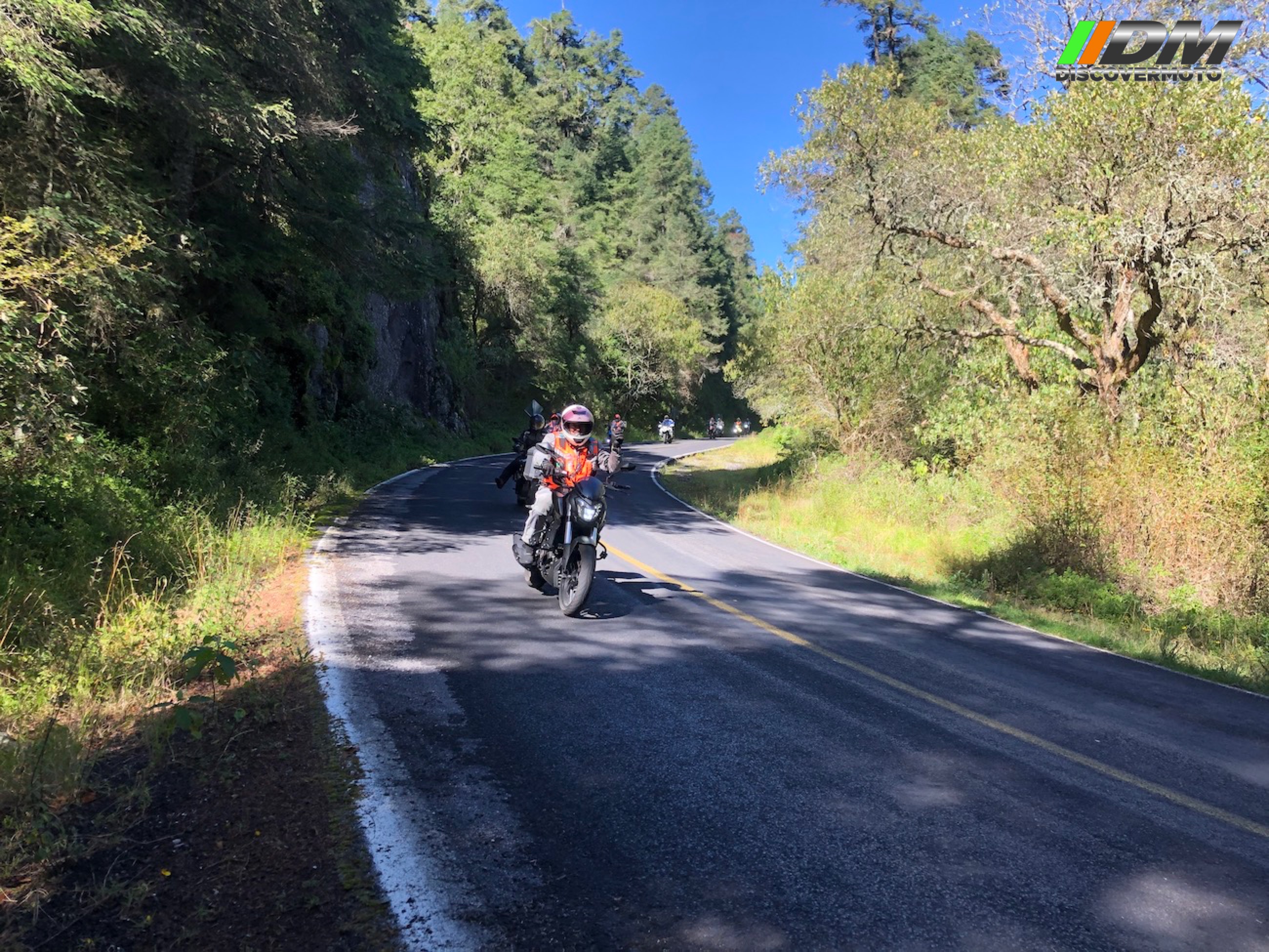 Salida 504 Del chico