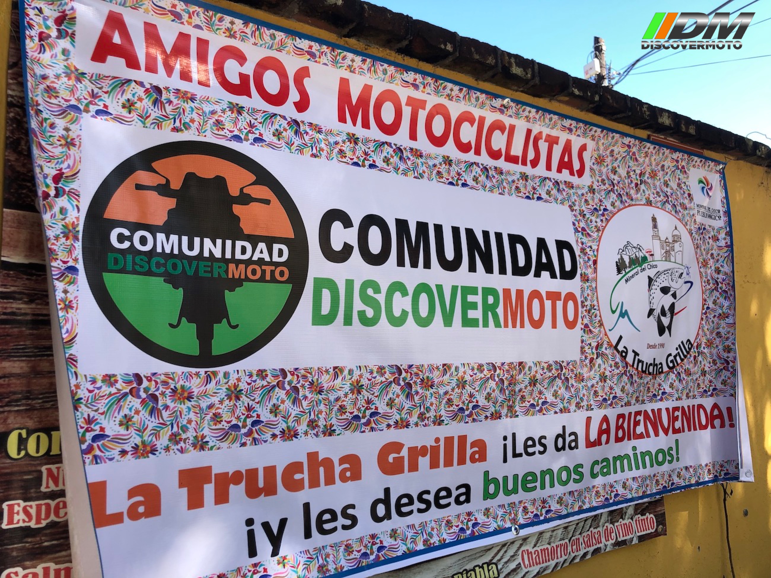 Salida 504 Del chico