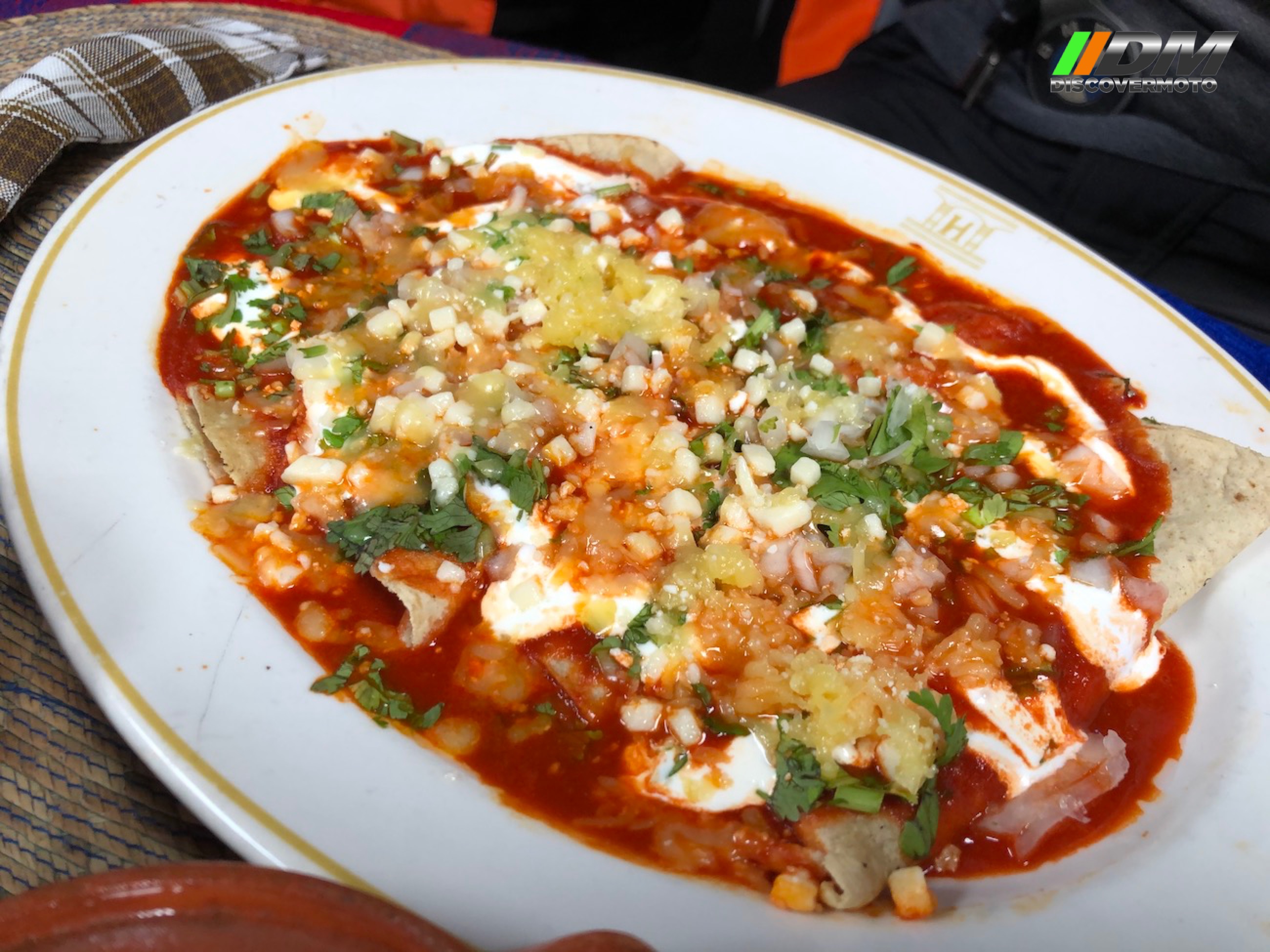 Salida 504 Del chico