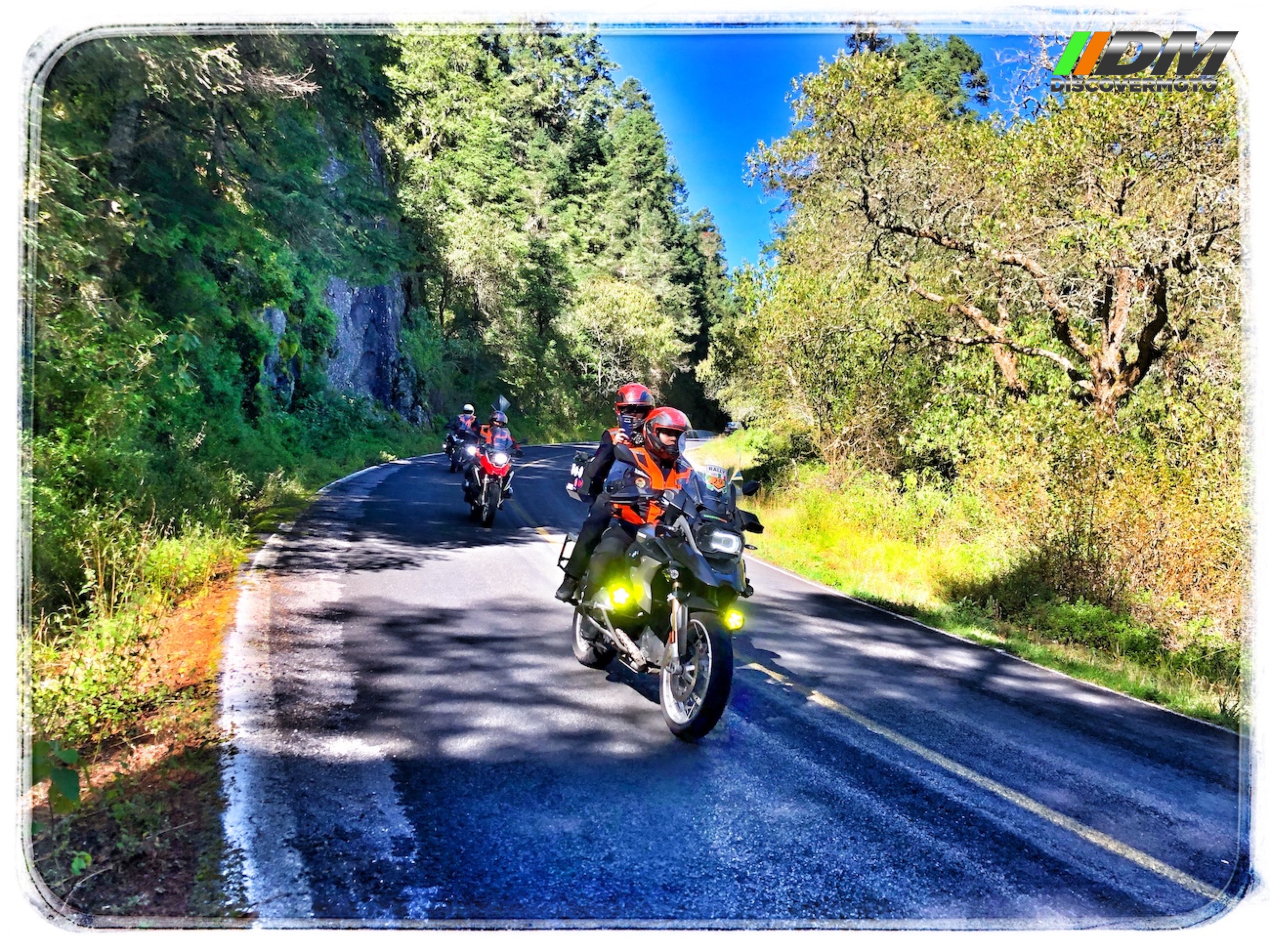 Salida 504 Del chico