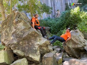 18058d3a-90ef-4e4c-a2a2-5d42176a2c49