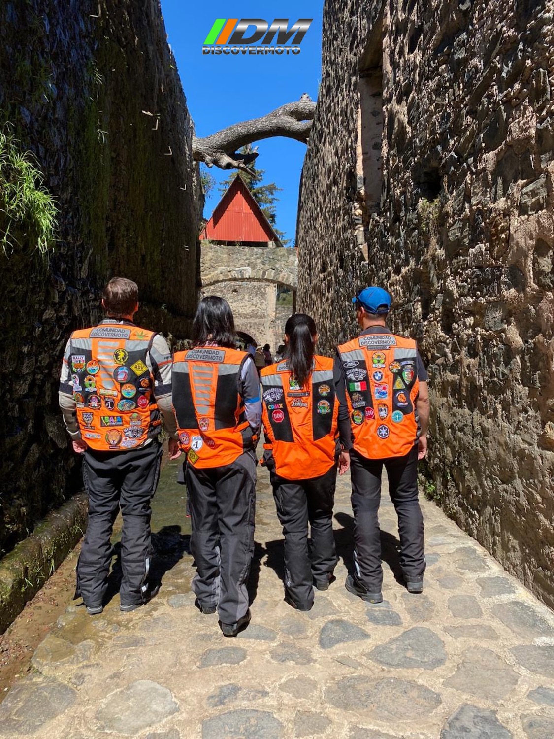 b6af0a24-a1b8-4031-b884-db7b5f5e9d02