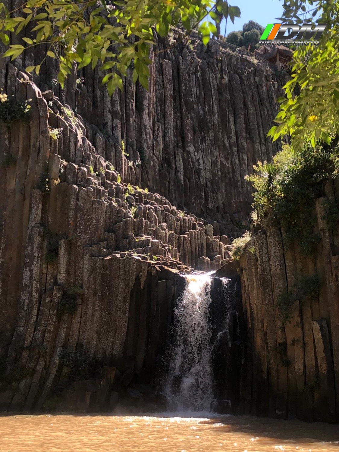 d78cf004-019f-4212-91df-ce22f1230d57