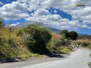 042eec3a-5939-486b-874a-aa3740d3c58f