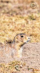 70b3c776-9c2a-4d00-9234-a446c6f5706a