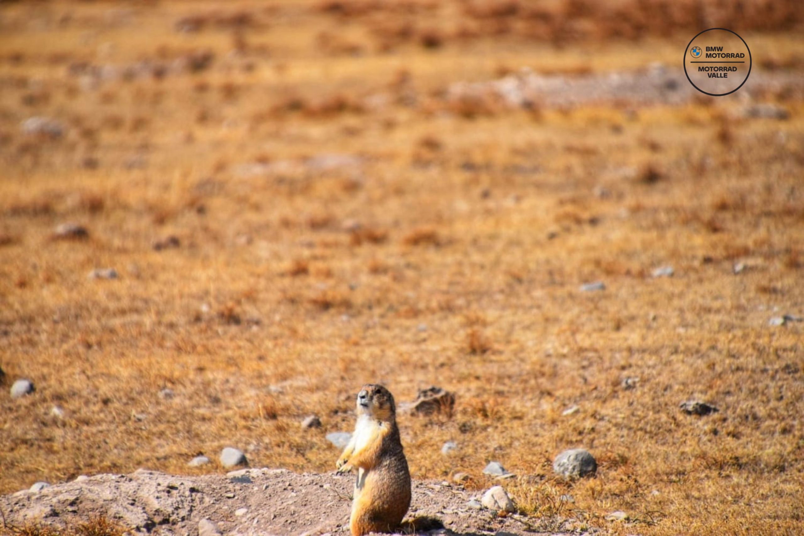 9e98a5da-ed5d-471d-be01-5b7f8a9ea8c8