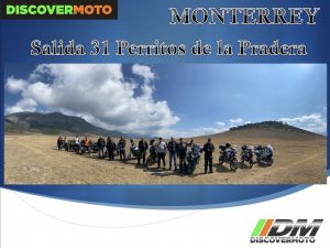Monterrey - 31 Perritos de la Pradera