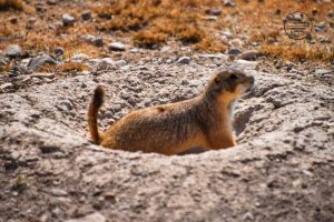 e5e8d481-3e5f-4ed8-a3ec-bbda69c21178