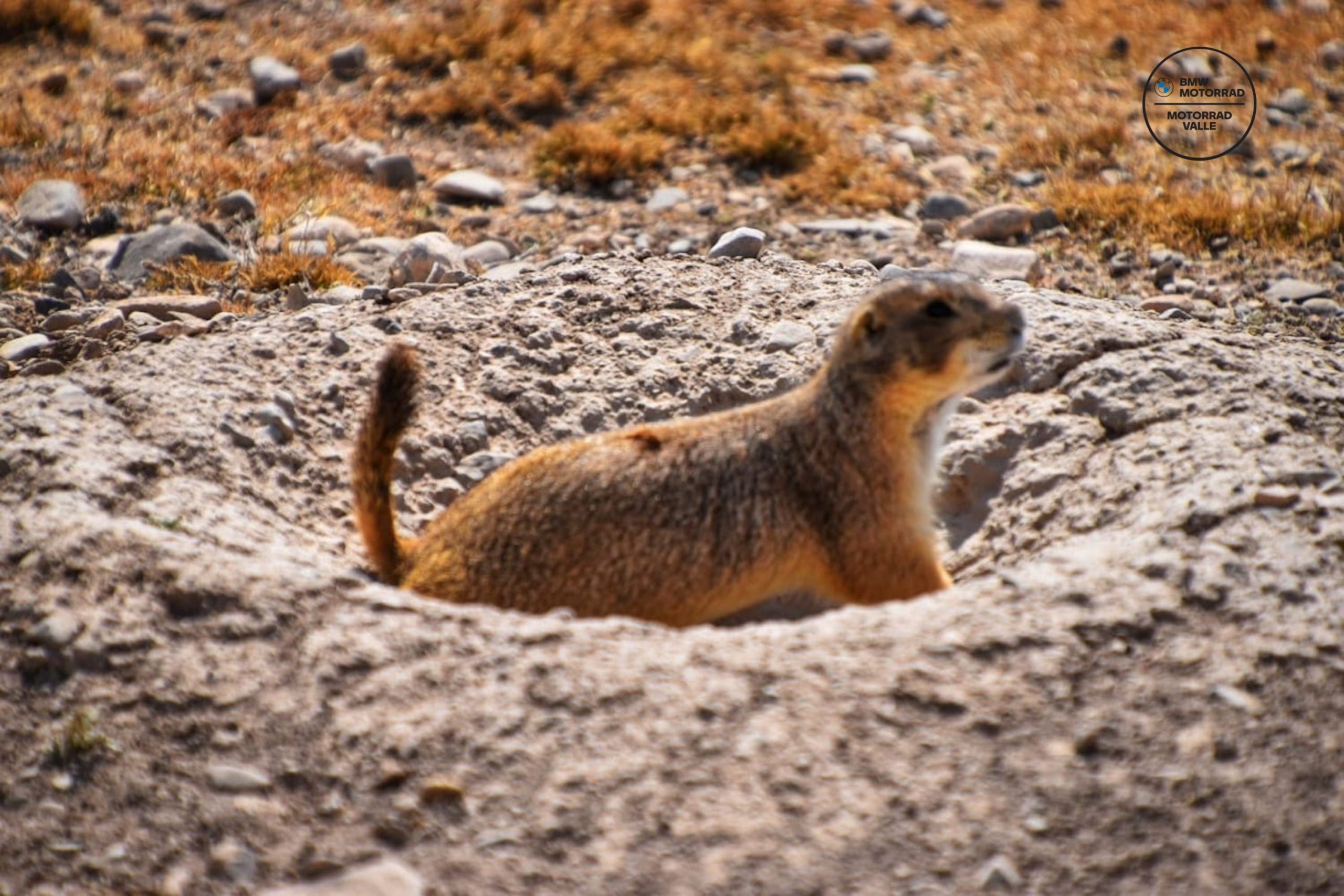 e5e8d481-3e5f-4ed8-a3ec-bbda69c21178