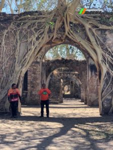 096e56da-6be3-460a-b715-6ae8b9c093db