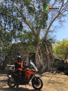 3fae3e2f-9cb7-4705-9163-0cbb8fe07777