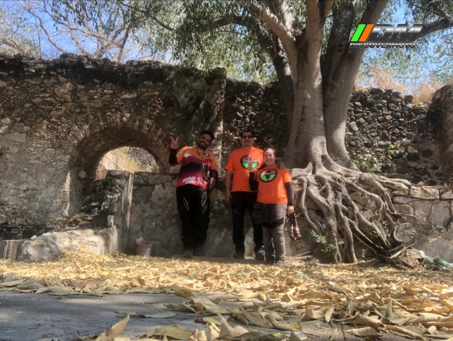 85fc0833-4b97-4f67-9a62-317c95d37df2