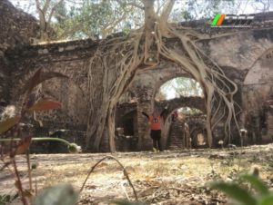 8d3dbc41-7046-488b-a677-e8f19a1f5bce