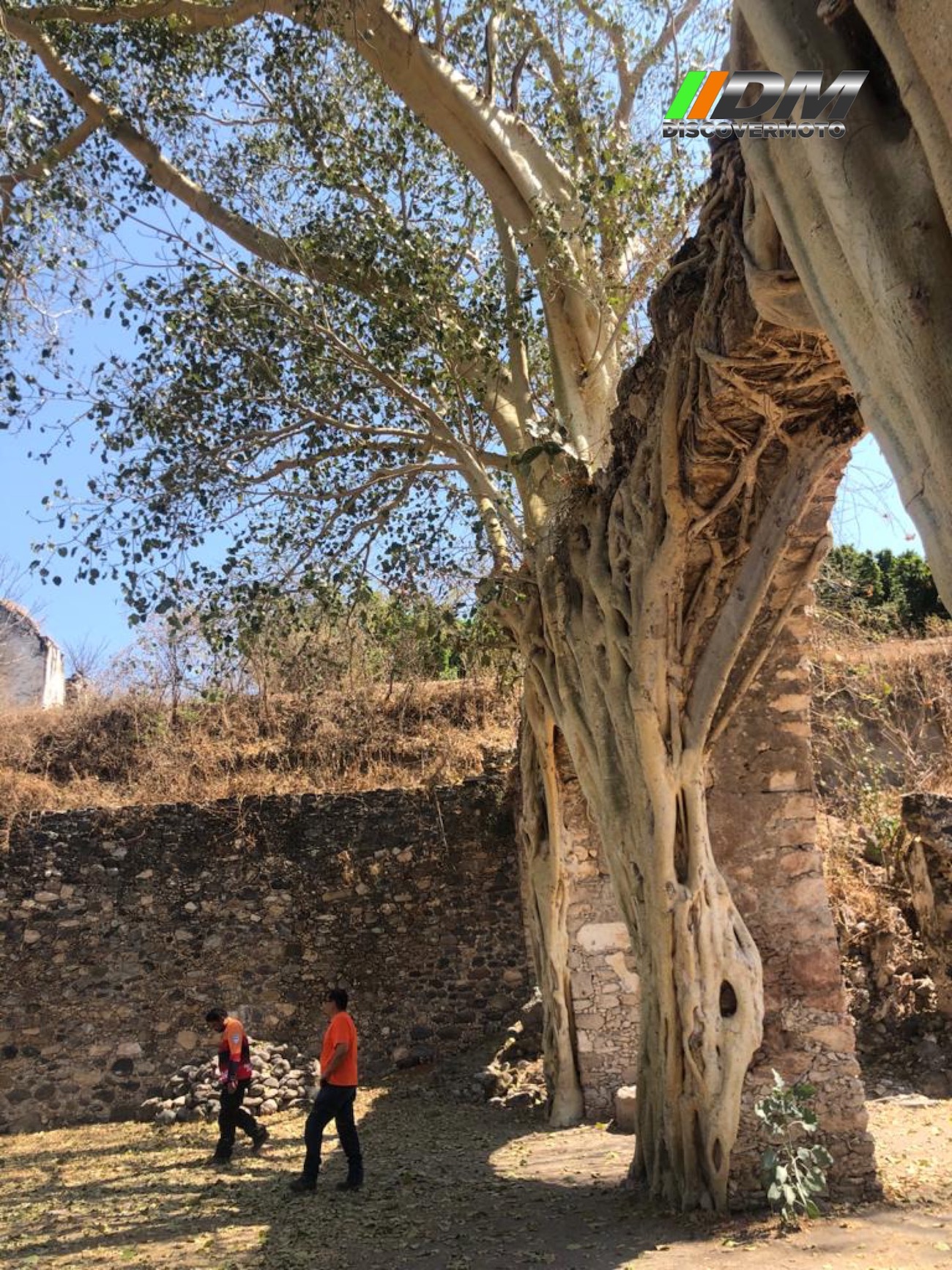 a29008a0-80ca-44df-a8e1-f5e733f7f2db