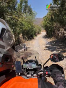 dcd39890-8155-400d-8446-85f02e39288a