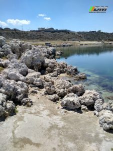 df5ad96d-0851-4406-8aa7-0b3c6b521a74