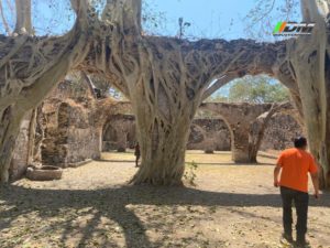 ea0b2cab-ae90-412a-a211-44232d029f6c