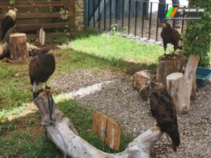 PHOTO-2021-08-15-15-53-59 4